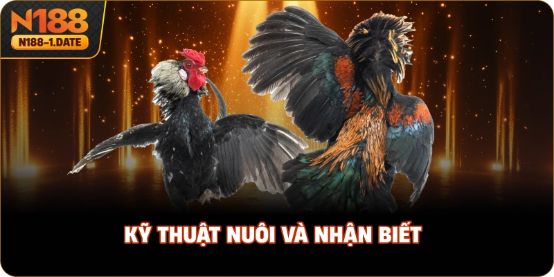 ky-thuat-nuoi-va-nhan-biet