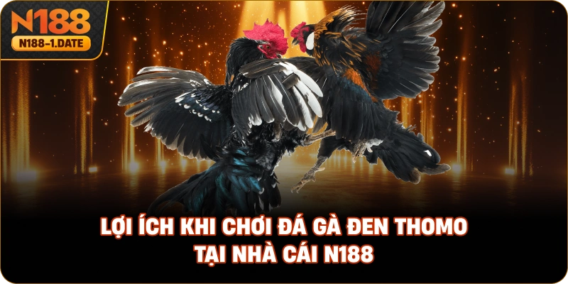 loi-ich-khi-choi-da-ga-den-thomo-tai-nha-cai-n188